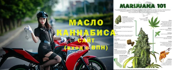 гашик Нефтегорск