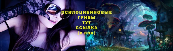 СК Нефтекумск
