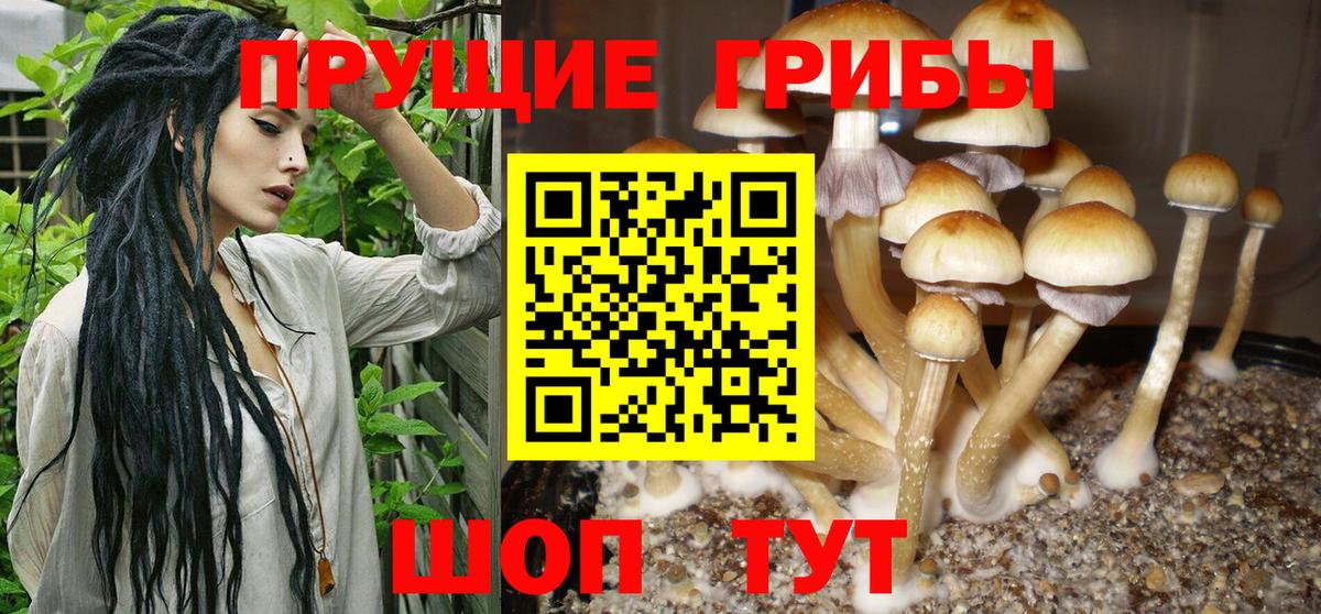 Меф МЯУ МЯУ кристаллы  ЭКСТАЗИ  Кокаин  APVP СОЛЬ кристаллы  ГАШ  Лениногорск  Меф  Канабис  Вход с VPN 