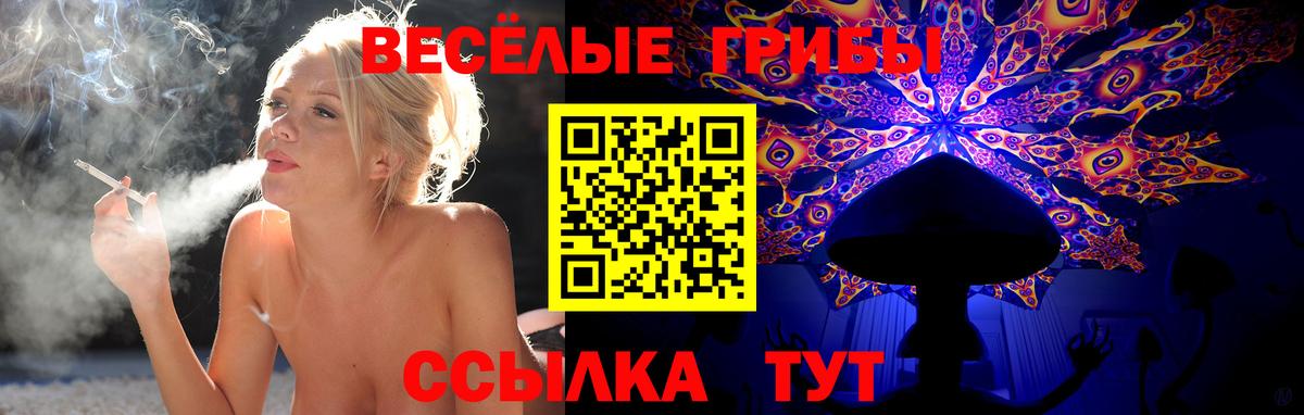 Псилоцибиновые грибы Cubensis Лениногорск