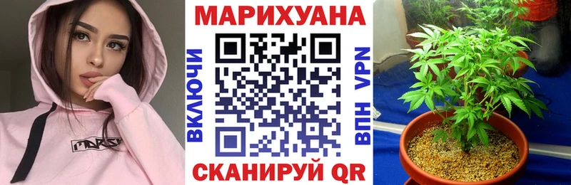МАРИХУАНА SATIVA & INDICA  магазин продажи наркотиков  Лениногорск 